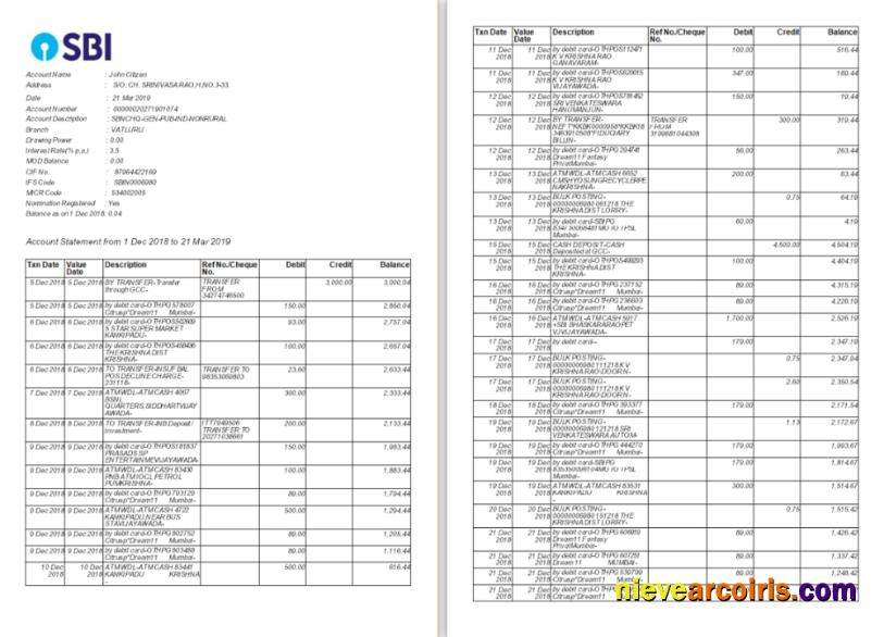 India SBI bank statement Word and PDF, 2 pages